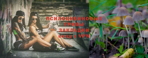 a pvp Верея