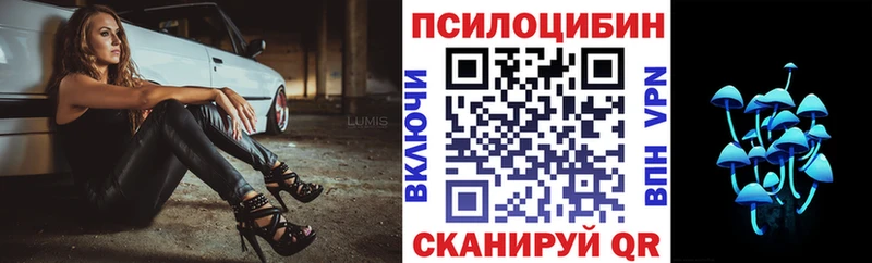 Купить где  Фатеж  Псилоцибиновые грибы мицелий 