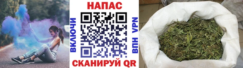 Бошки марихуана SATIVA & INDICA  Купить  Фатеж 